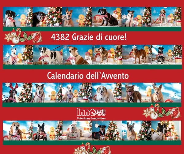 calendario avvento fine 613708078_1179223791051261_7571325650967792186_n - copia